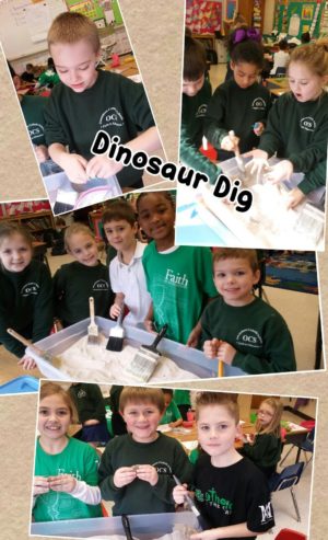 1st grade dinosaur dig 1