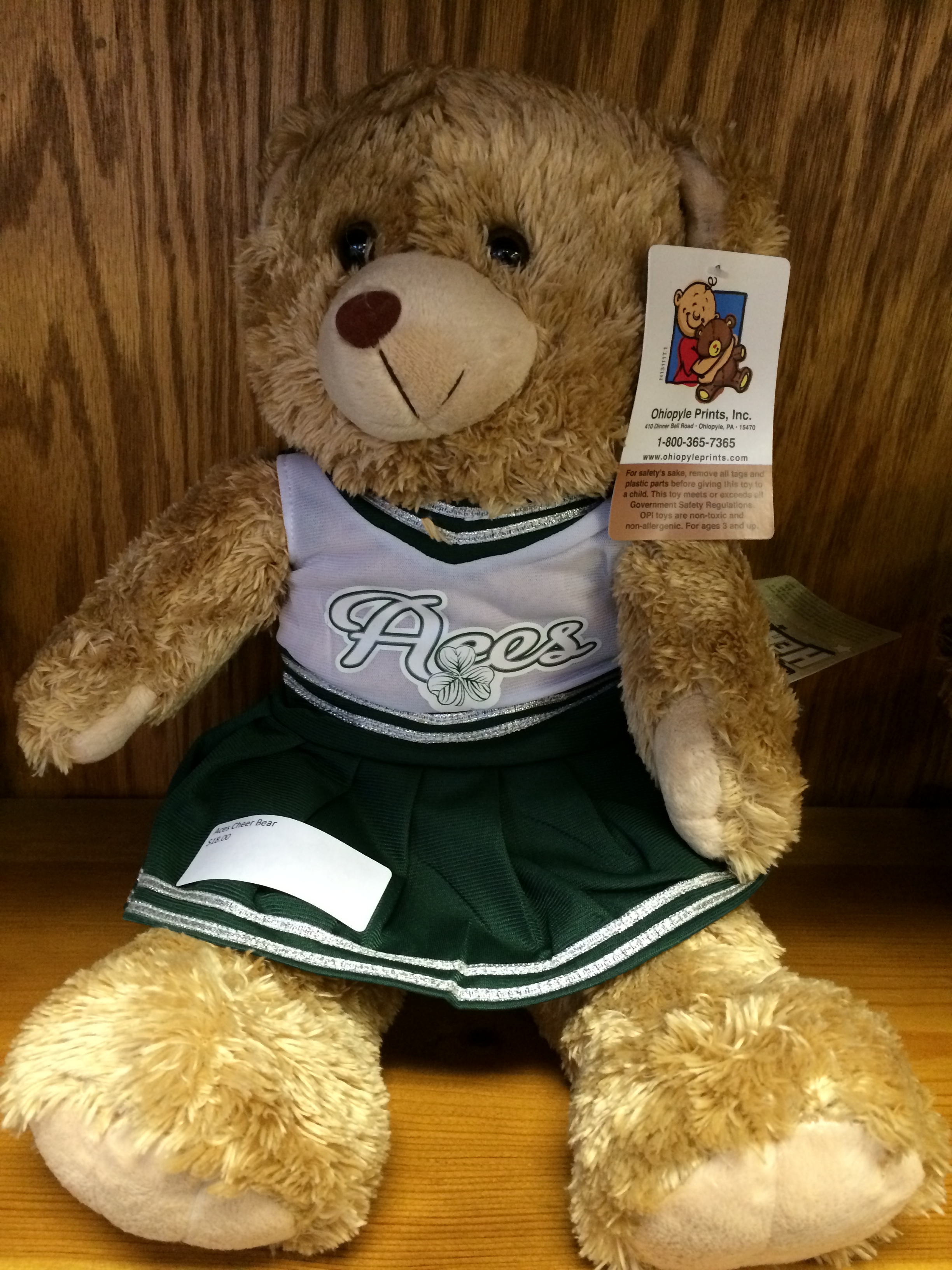 Cheerleader or Football Player Plush Teddy Bear